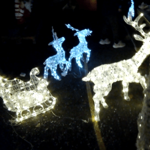Some of our Light up Reindeer and our Sleigh