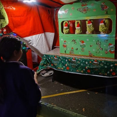 Down the Grinch Festive Side Stall