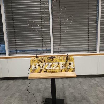 Giant Buzzwire for hire