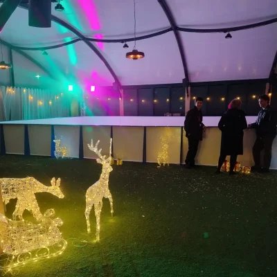 Corporate Ice Skating Festive Social